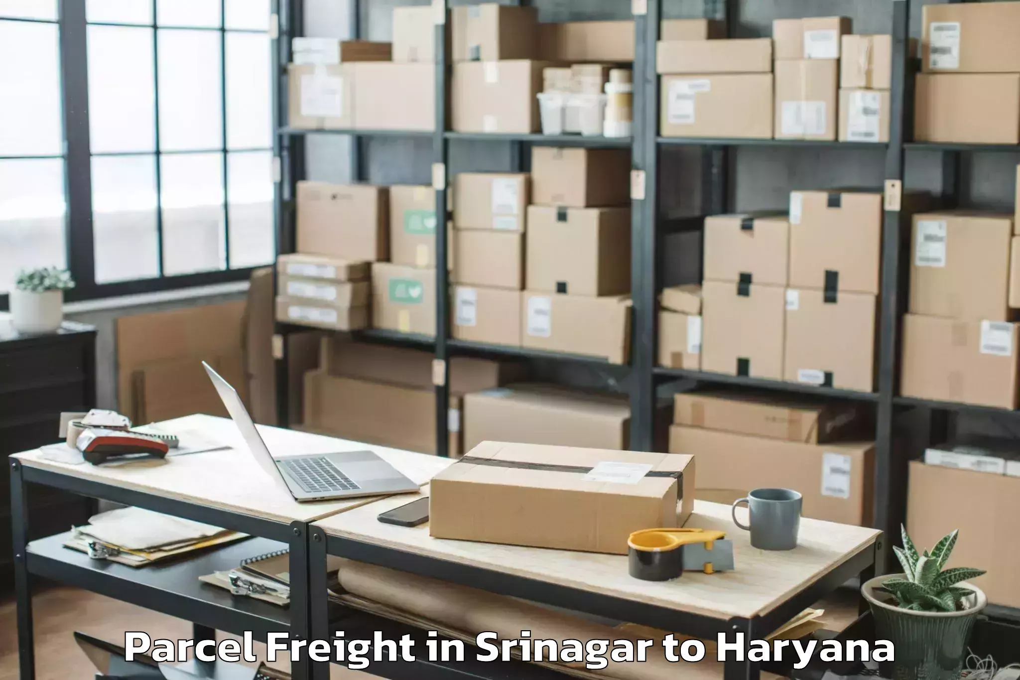 Srinagar to Ambala Parcel Freight Booking